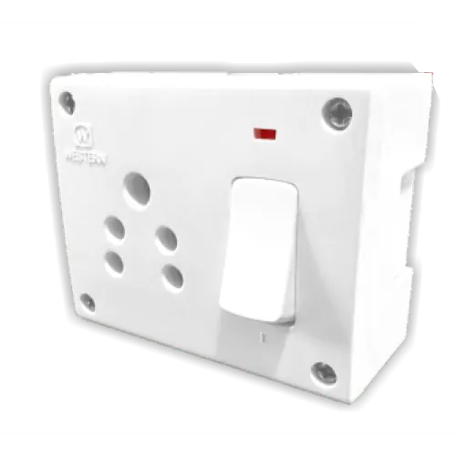 6A. / 16.A Switch Socket Combined (4 in one)